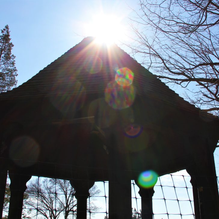 Sun flares over the gazebo at Meadow Brook Hall in early spring