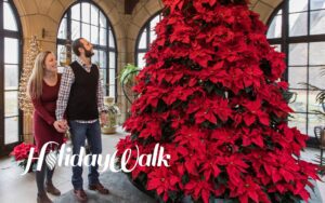 Meadow Brook Hall's annual Holiday Walk event at the Holidays at Meadow Brook