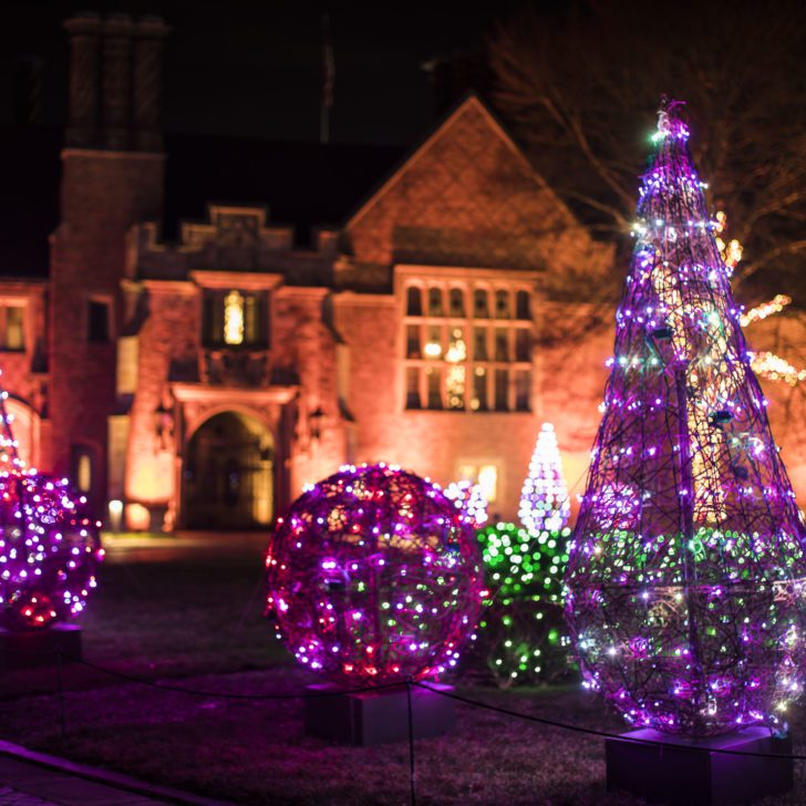 Winter Wonder Lights at Meadow Brook Hall