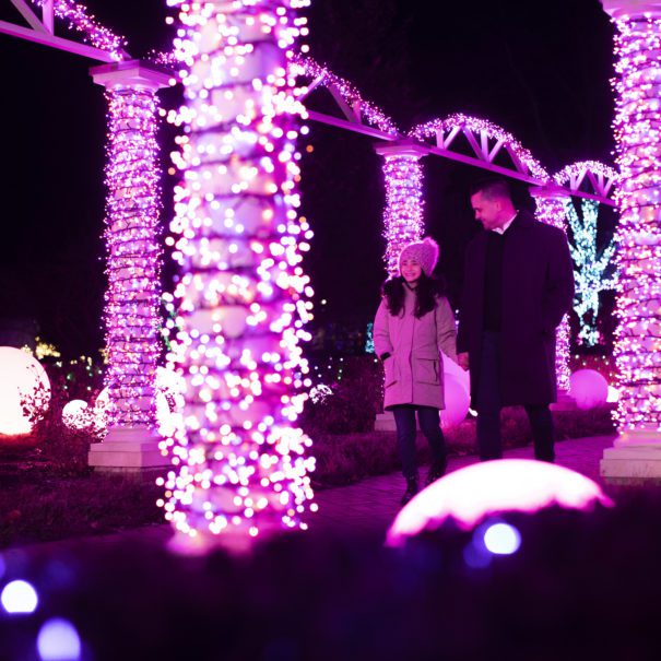 The Holidays at Meadow Brook features Holiday Walk and Winter Wonder Lights