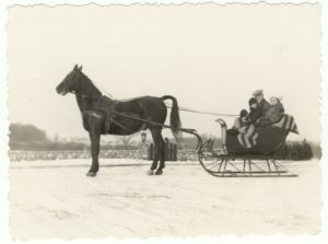 Sleigh ride at Meadow Brook Hall