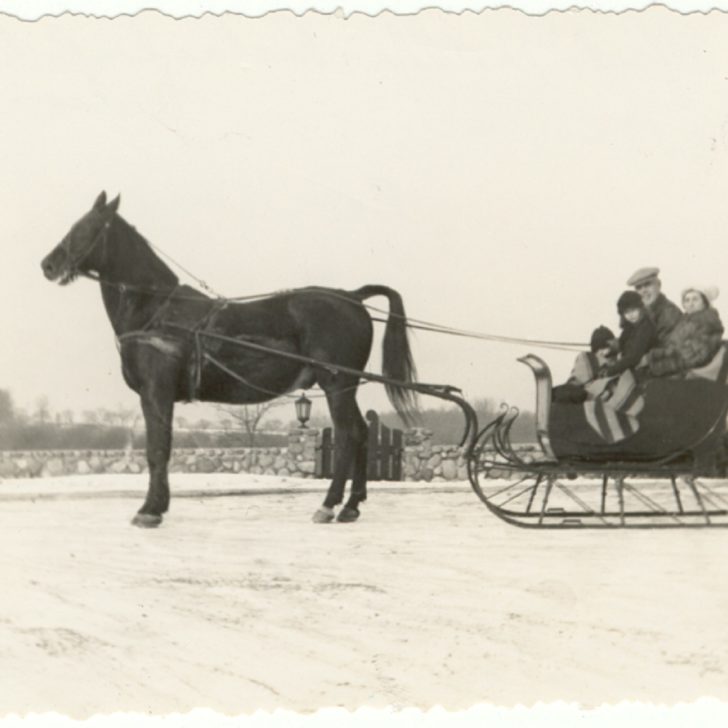 Sleigh ride at Meadow Brook Hall
