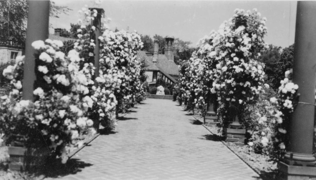 Meadow Brook's Rose Garden in the early 1960s.
