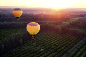 Photo of Napa hot air balloon ride