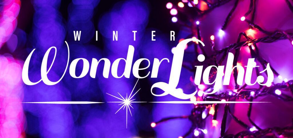 Winter Wonder Lights at Meadow Brook Hall