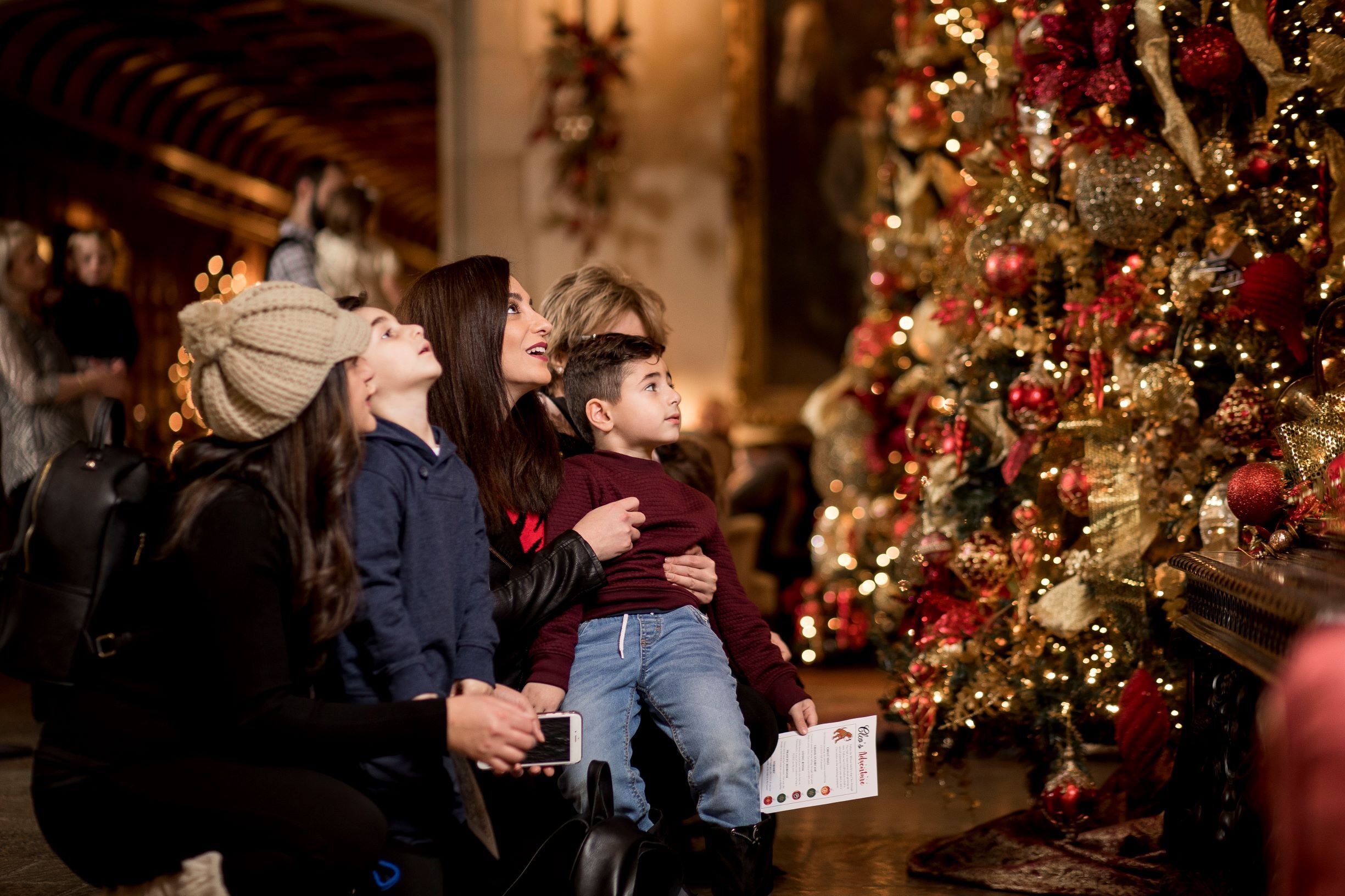 Family looks at beautiful holiday tree at Meadow Brook Hall