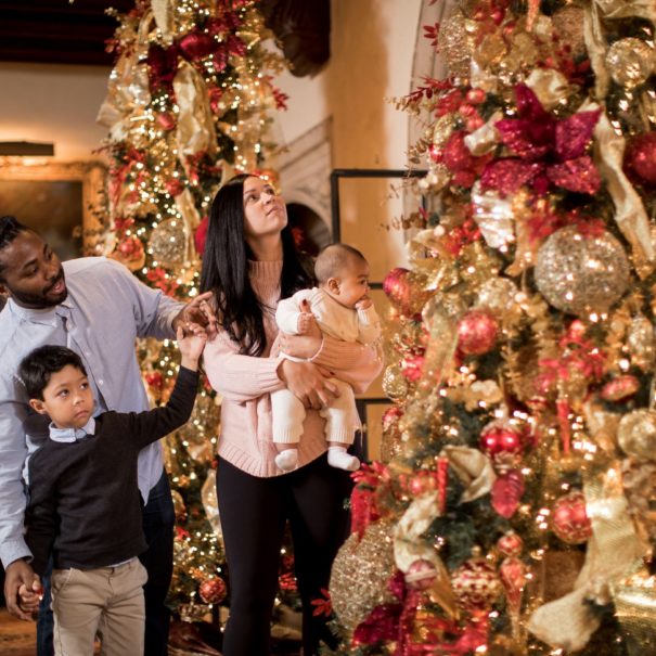 Family admiring decorated tree in Meadow Brook Hall