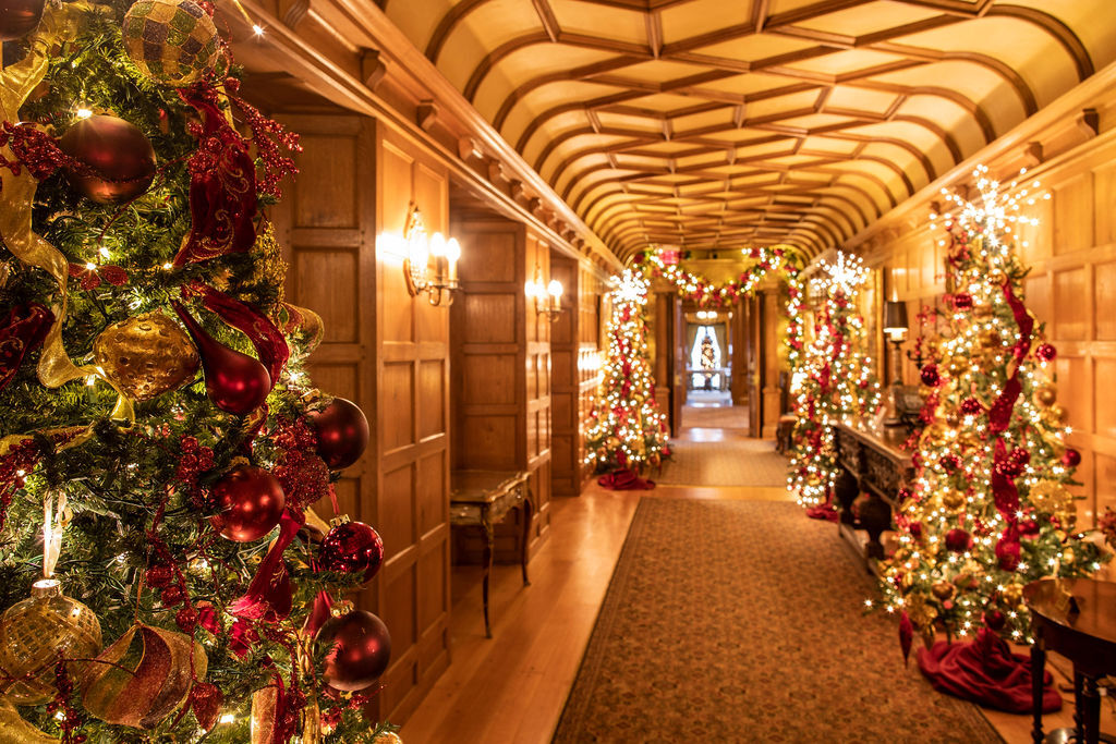 Meadow Brook Hall hallway beautifully lighted with several holiday trees