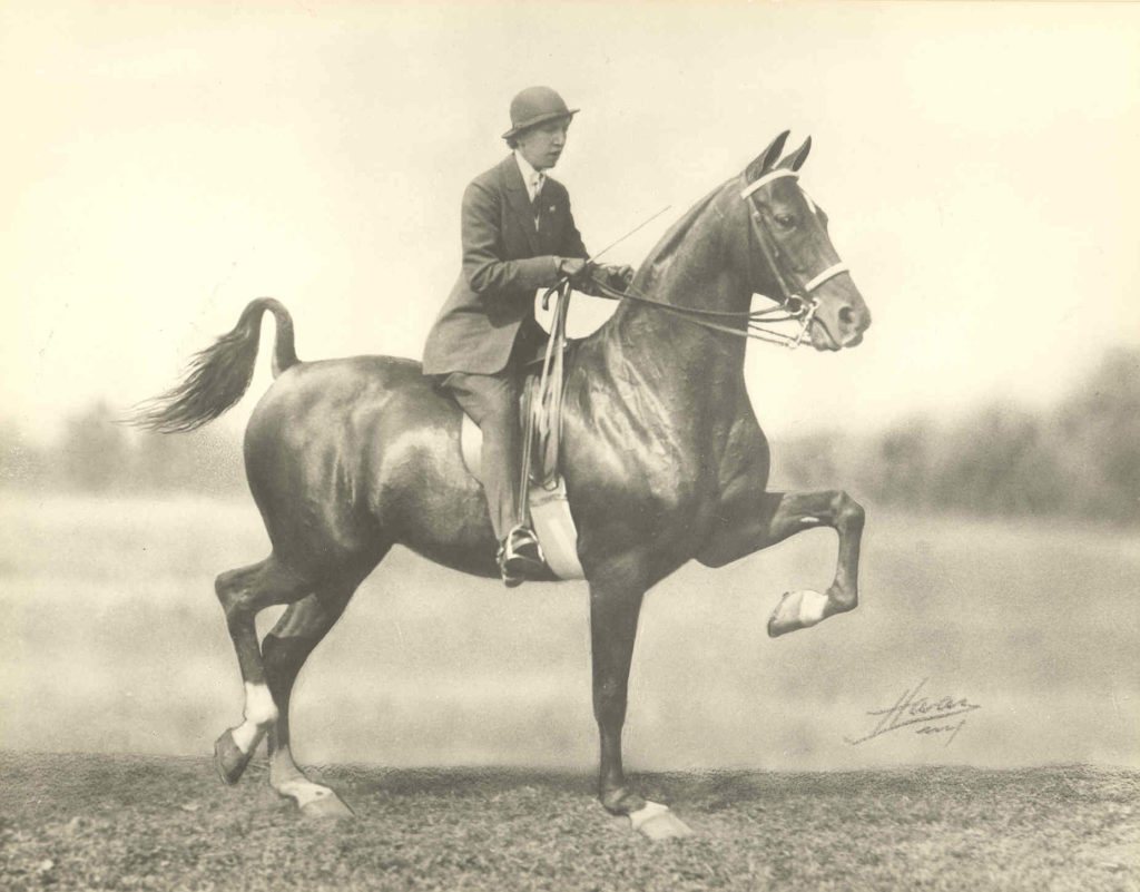 Frances Dodge of Meadow Brook Hall had a lifelong passion for horses and horse racing.
