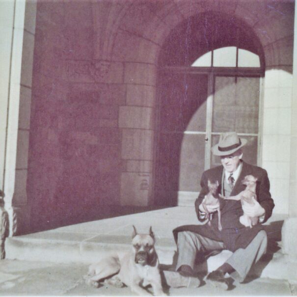 Alfred Wilson plays with his dogs at Meadow Brook Hall in the 1950s.