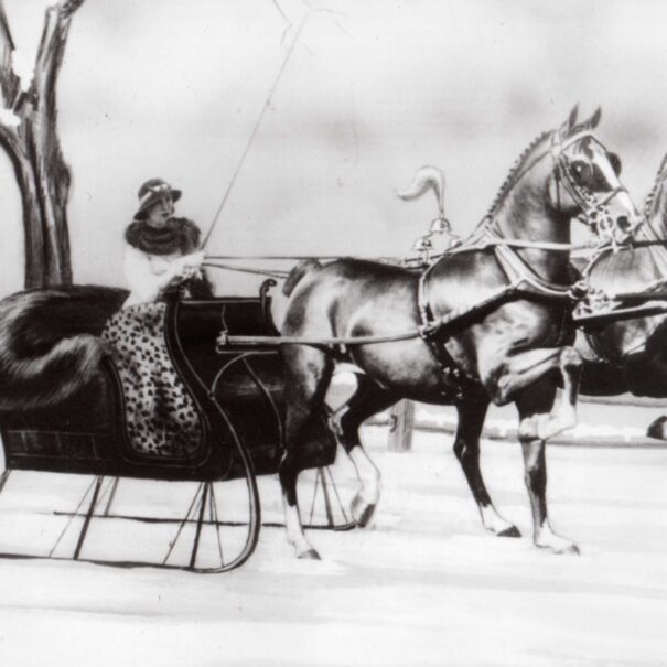 Frances Dodge on holiday sleigh