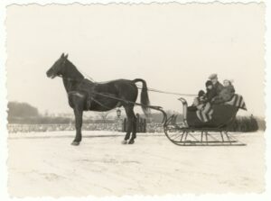 Sleigh Ride with Alfred, Matilda, Dick and Barbara