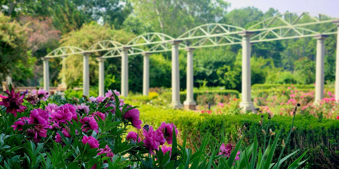 The Rose Garden at Meadow Brook Hall in Rochester, Michigan.