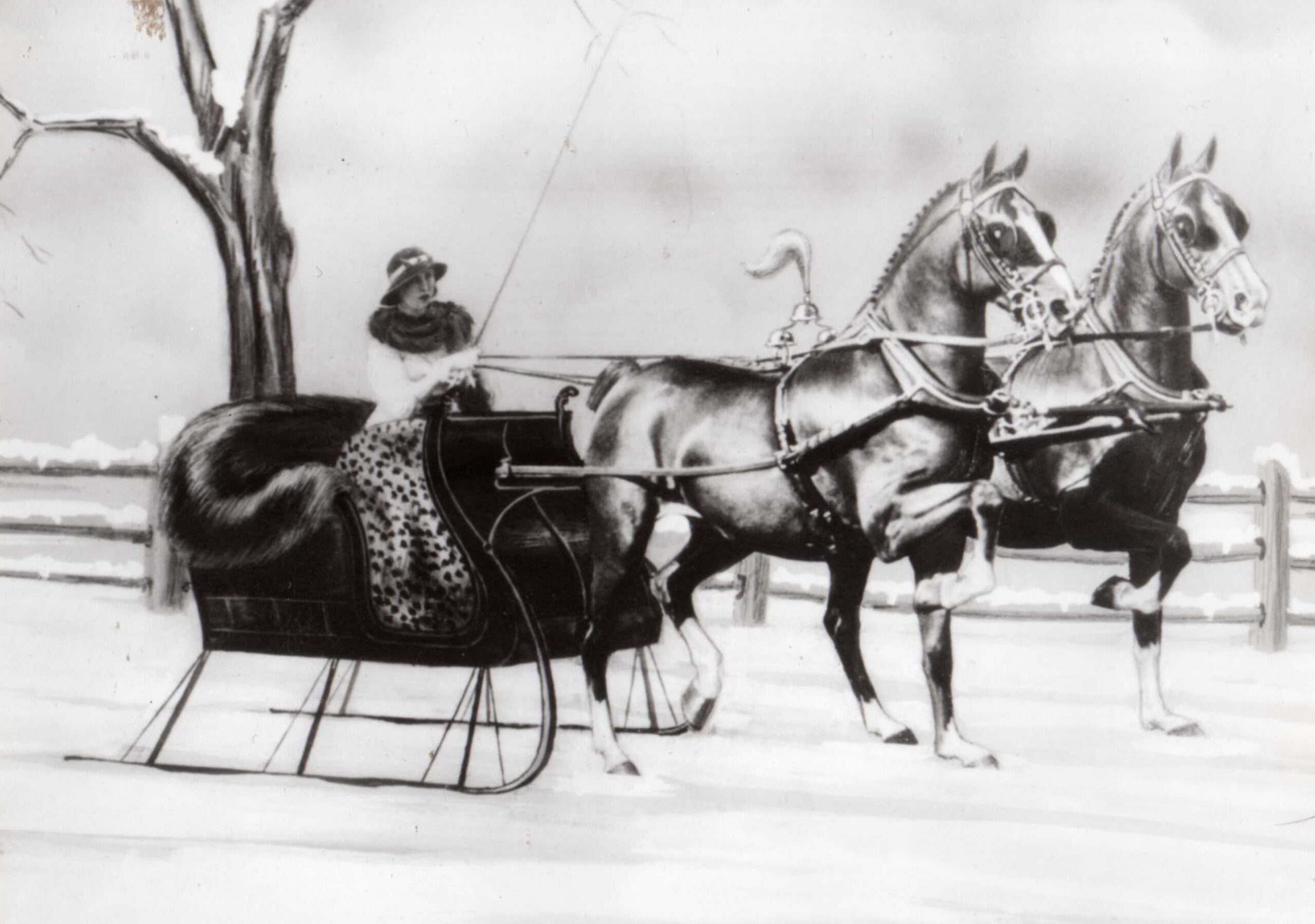 Frances Dodge on holiday sleigh