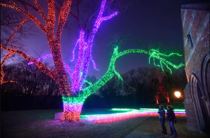 The Holidays at Meadow Brook feature the indoor Holiday Walk and outdoor Winter Wonder Lights.