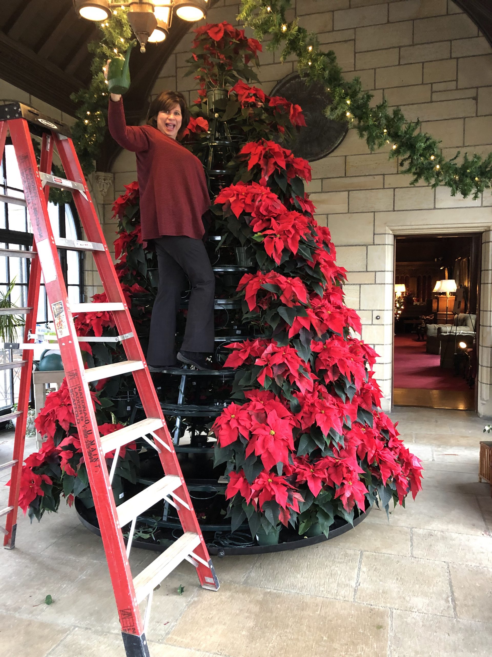 Kim and the Poinsettia 