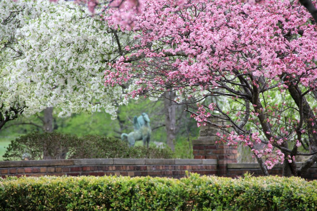 Springtime at Meadow Brook. Meadow Brook Hall is a venue for business events, weddings and celebrations