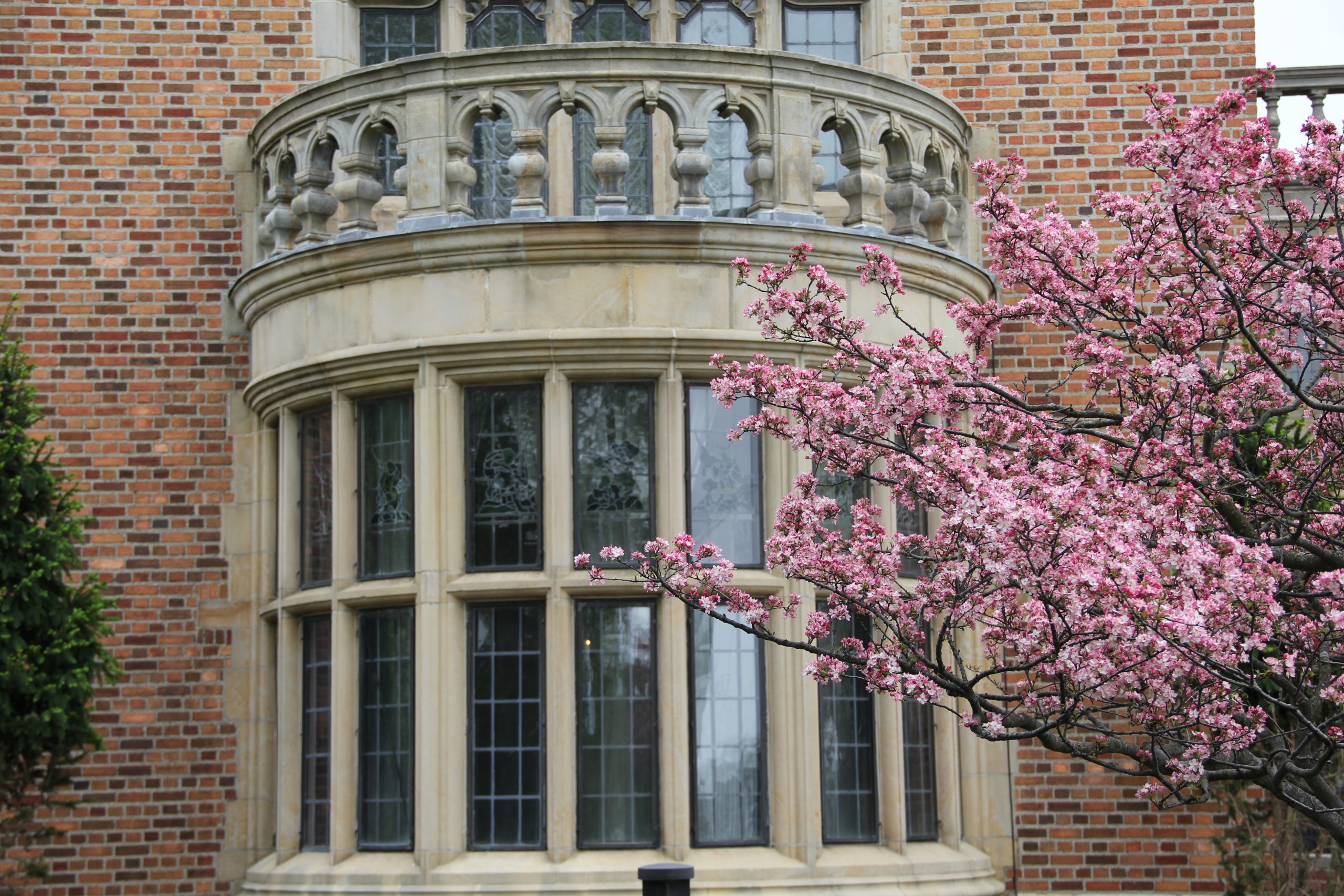 Meadow Brook Hall is a venue for business events, weddings and celebrations