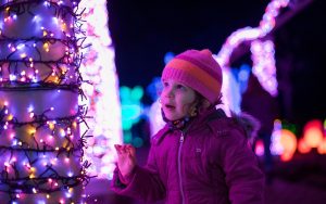 Winter Wonder Lights at Meadow Brook Hall