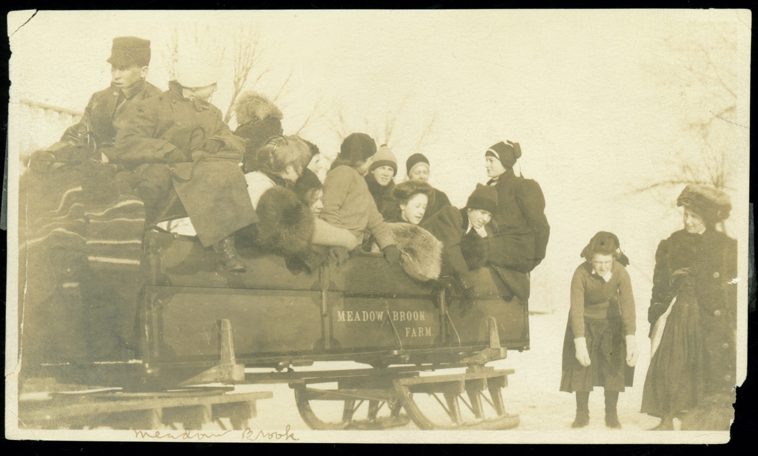 Meadow Brook Farms Sleigh Ride party