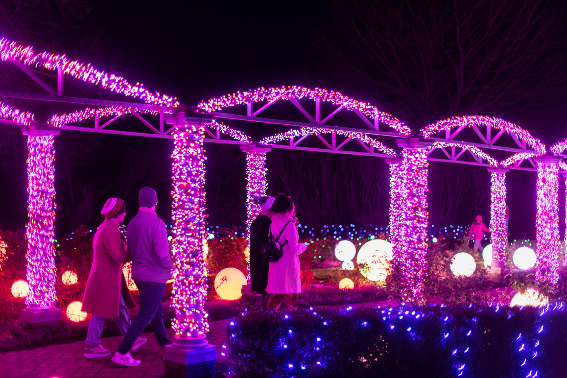 Winter Wonder Lights at Meadow Brook Hall features large-scale light installations and activities.