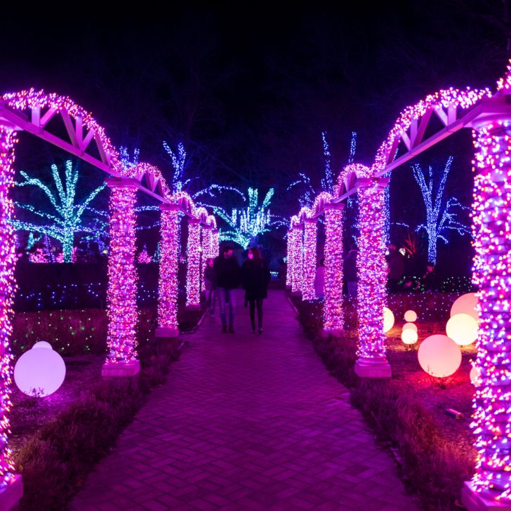 Holiday Hallway