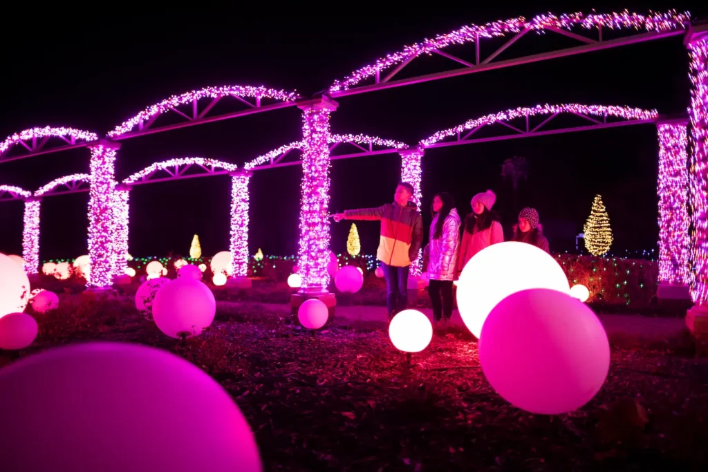 Guests explore lights at Winter Wonder Lights at the Holidays at Meadow Brook in Rochester, Michigan.