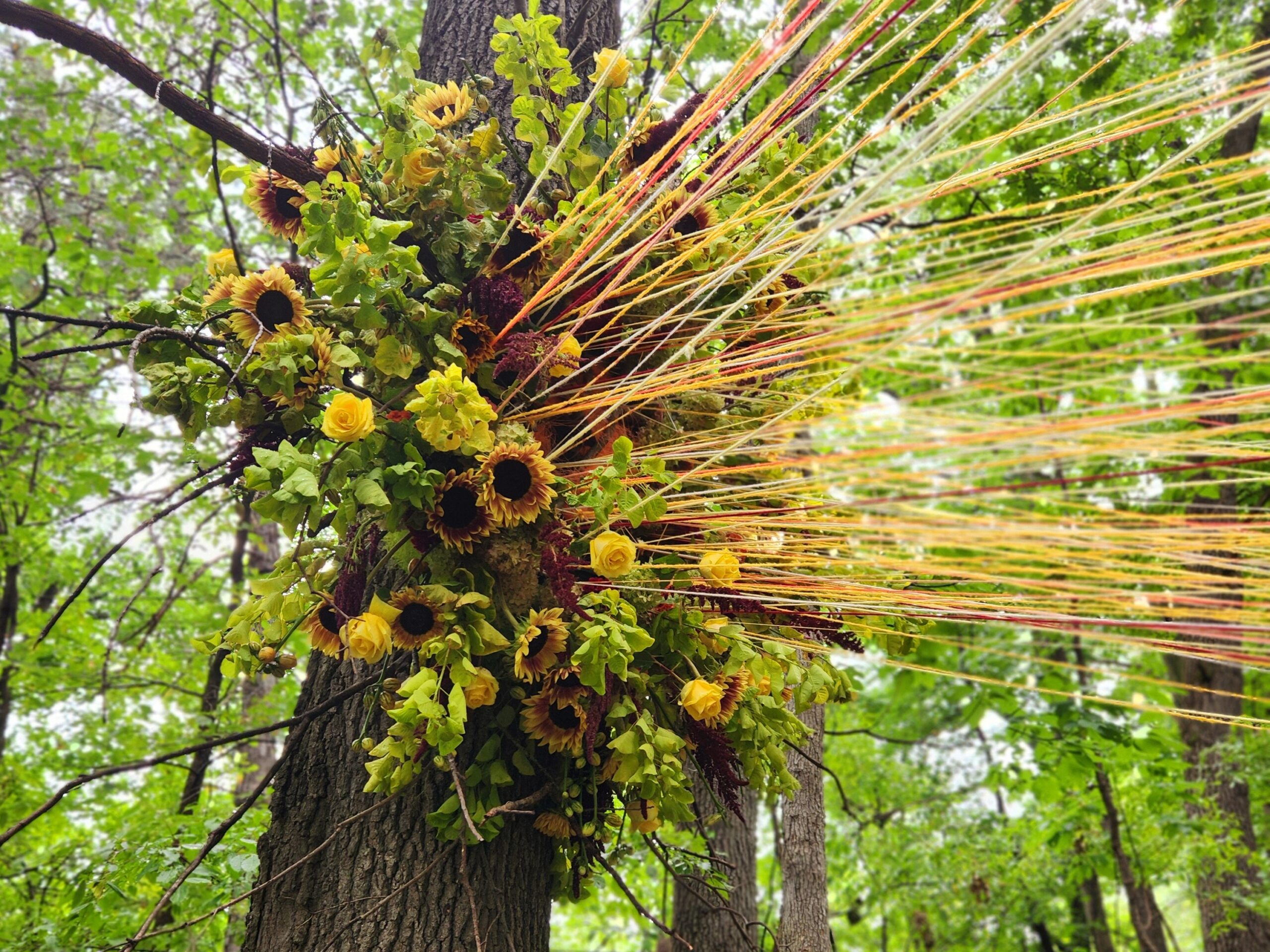 AITE floral display
