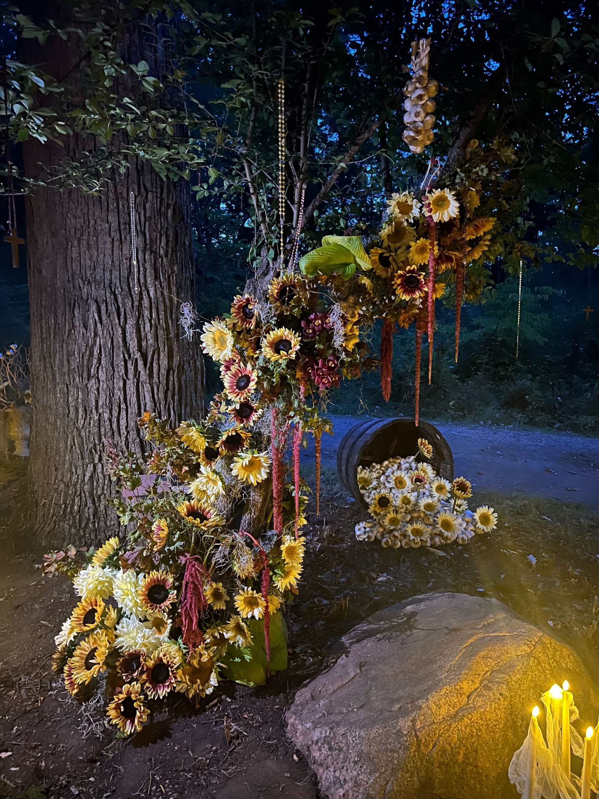 AITE premier night floral display