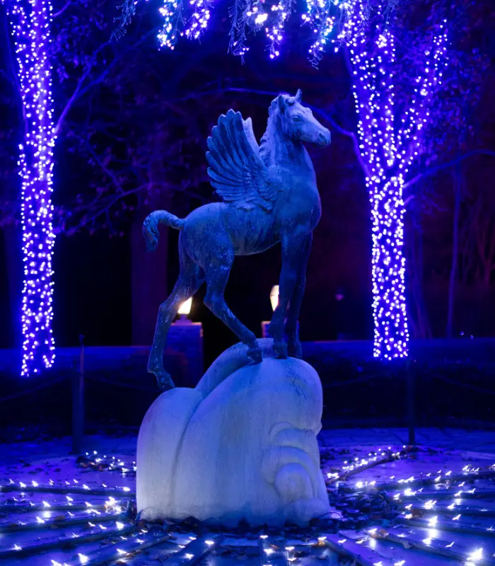 Website Vertical Slider (700 x 800 px)(1)