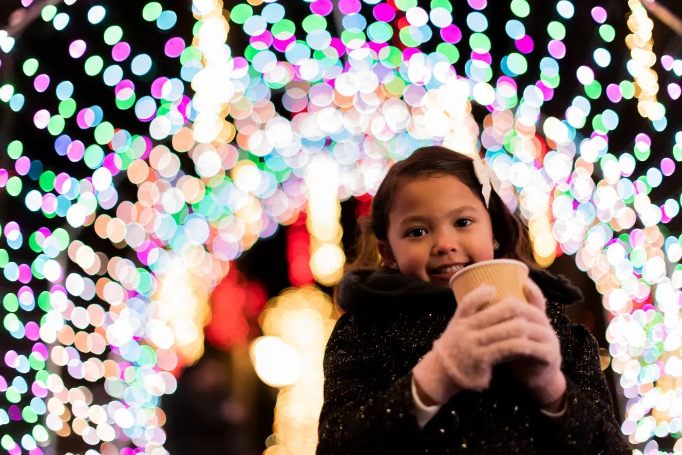 The Holidays at Meadow Brook feature Holiday Walk and Winter Wonder Lights.