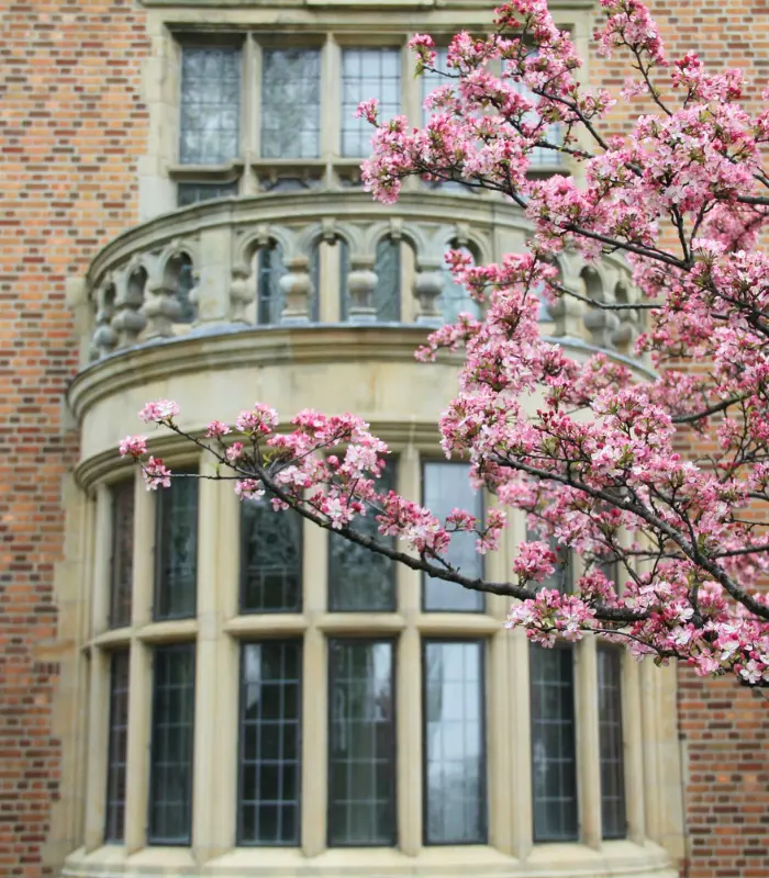 Website Vertical Slider (700 x 800 px)(3)