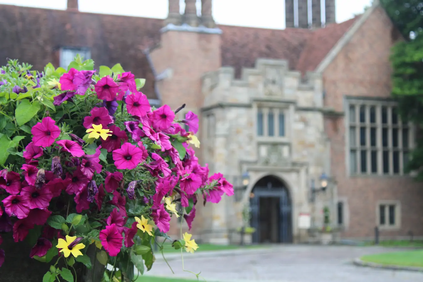 Meadow Brook Hall is a historic house museum, community center & events and wedding venue in Rochester, Michigan.