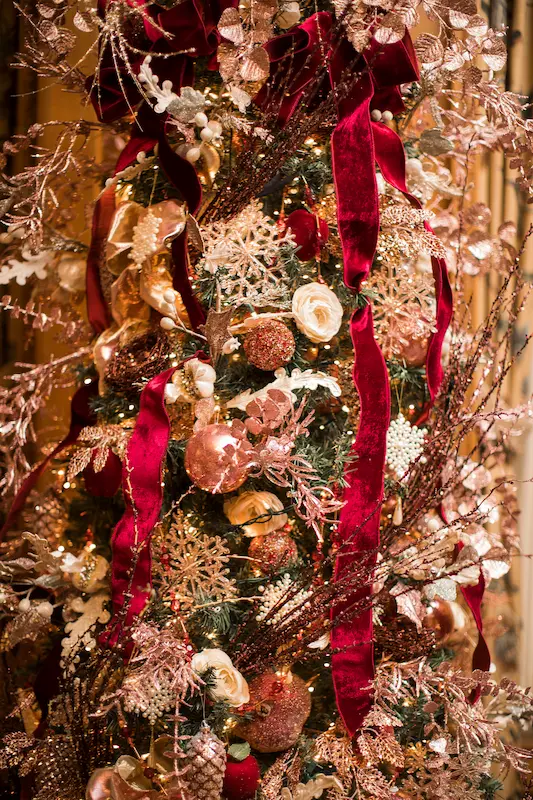 MBH HolidayWalk 2019 (7)