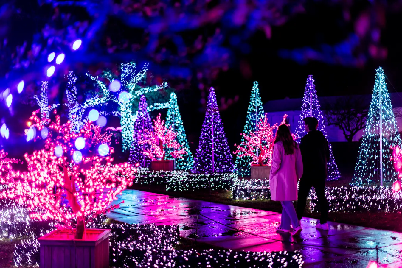 The Holidays at Meadow Brook light up your days & nights every holiday season.